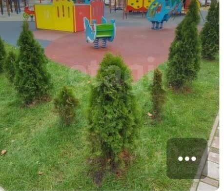 квартира г Калининград р-н Московский ул Инженерная 11 фото 4