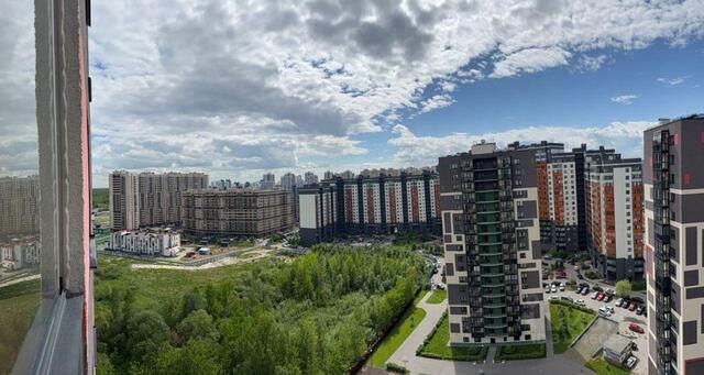 Южное Кудрово Заневское городское поселение фото