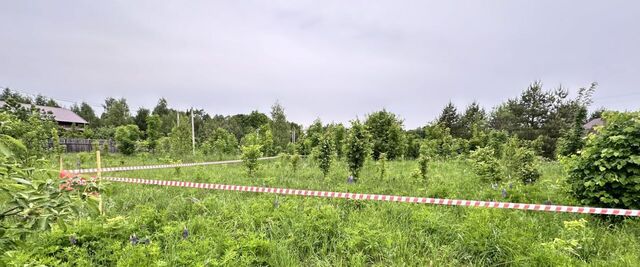с пос, Рудня фото