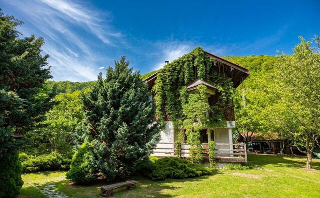ул Переселенческая 24 с Илларионовка р-н Адлерский фото