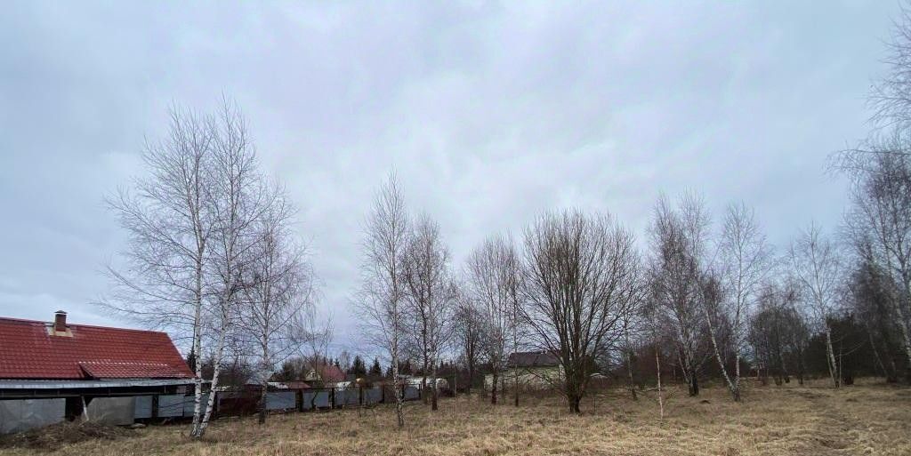 земля г Раменское снт Центр 133, Раменский муниципальный округ фото 2