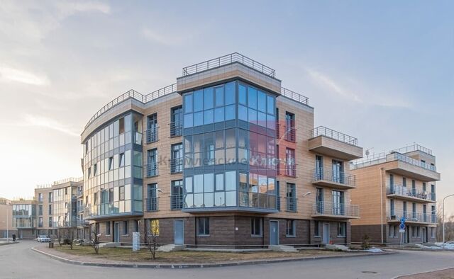 ул Новая 51к/10 Беговая, территория Лахта фото