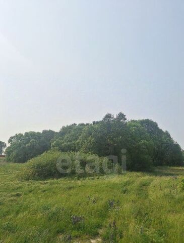 земля ул Петровская фото