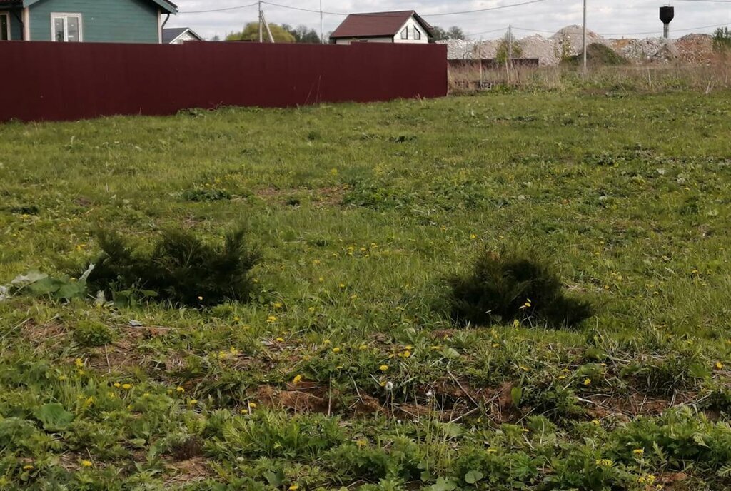 земля г Домодедово д Голубино фото 1