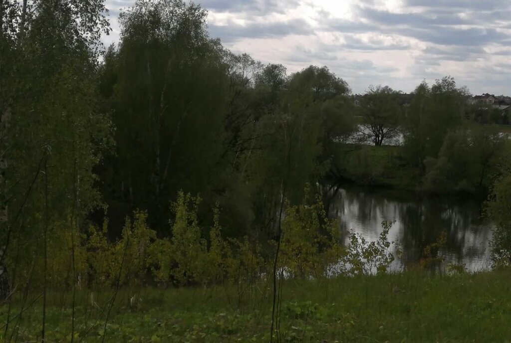 земля г Домодедово д Голубино фото 2