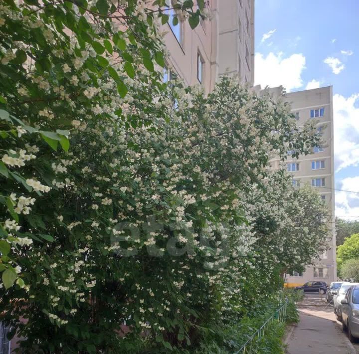 квартира г Воронеж р-н Коминтерновский ул 9 Января 262/3 фото 29
