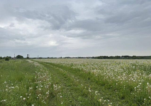 Таллинское шоссе, 72 км, Пустомержское сельское поселение, Кингисепп фото
