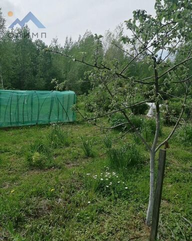 п Ермаково Вологда фото