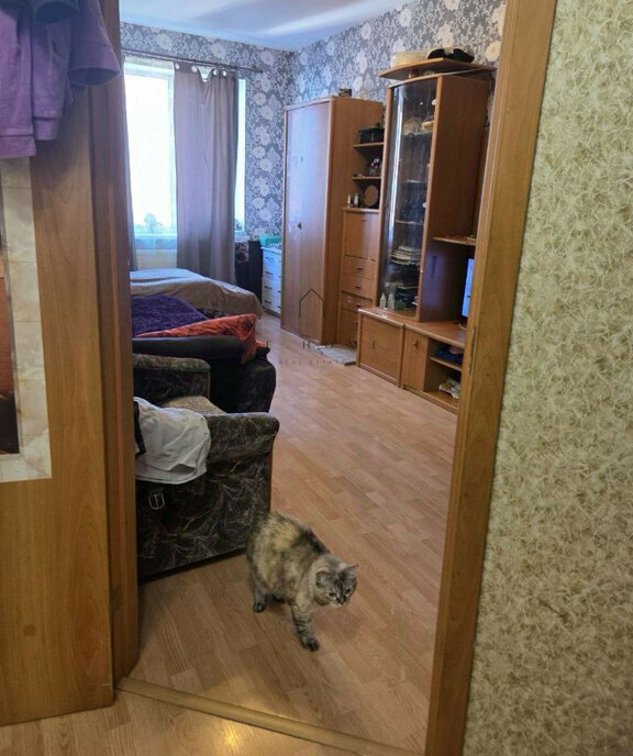 квартира р-н Всеволожский г Мурино ЖК «Тридевяткино царство» Девяткино, улица Шоссе в Лаврики, 85 фото 5
