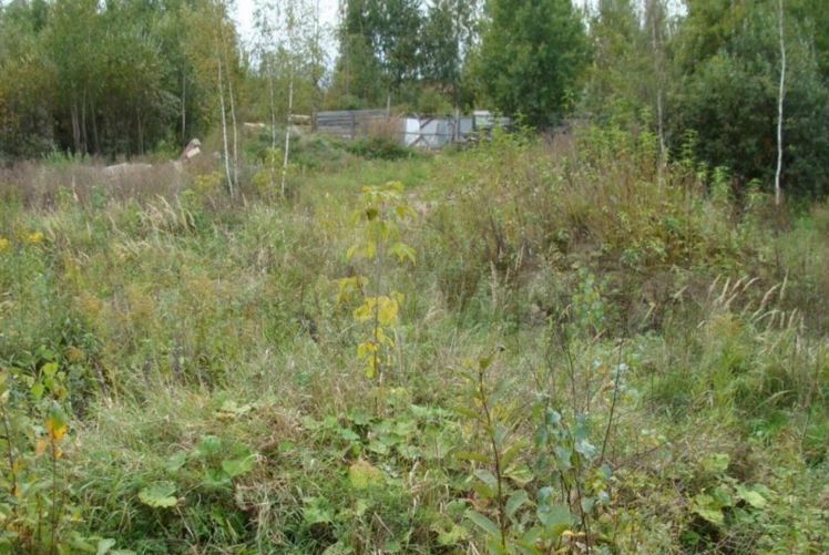 земля г Арзамас садоводство № 1 фото 1
