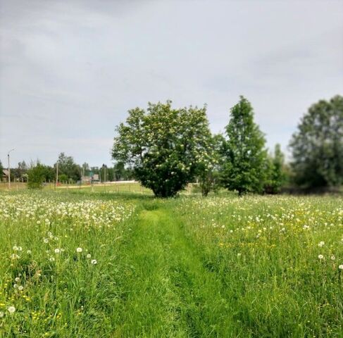 пгт Кесова Гора ул Ленинградская фото