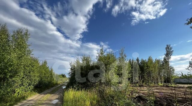 п Солнечный пос, Богдановское СТ, ул. 8-я фото