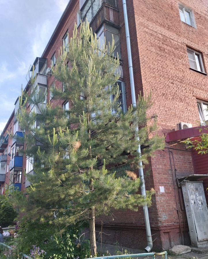 квартира г Новокузнецк р-н Заводской ул Тореза 59 фото 19