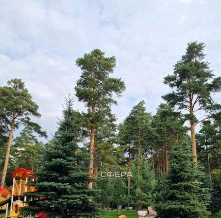 квартира г Новосибирск Заельцовская ул Богдана Хмельницкого 19/3 фото 5