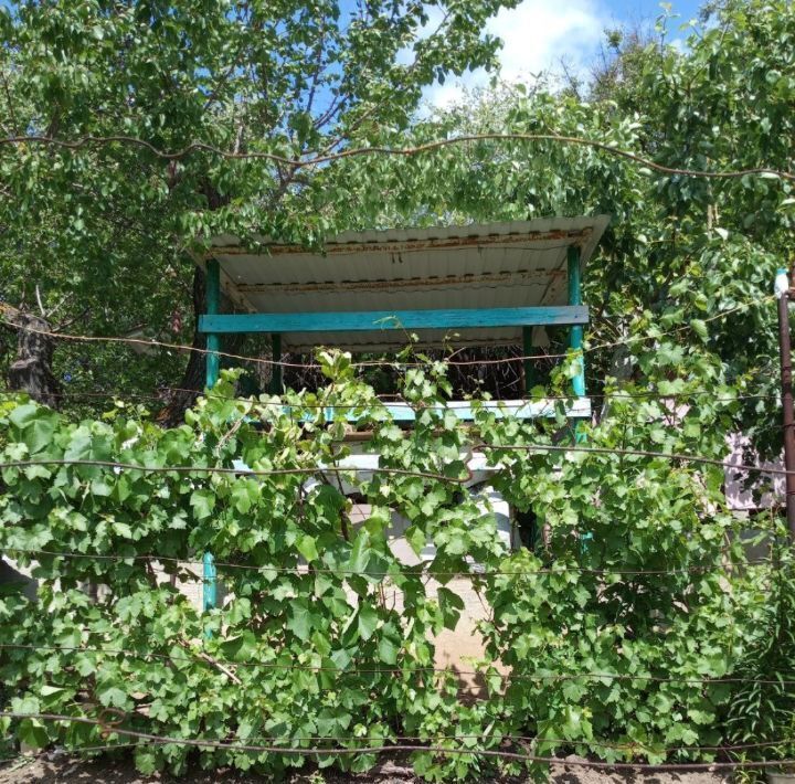 земля г Аткарск снт Березка фото 10