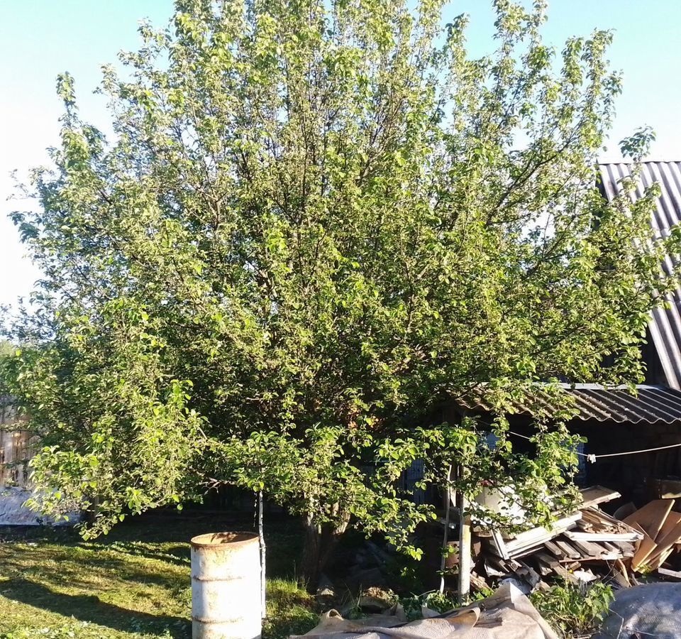 дом г Тюмень р-н Центральный снт Надежда-2 Яблочная ул., 46 фото 13