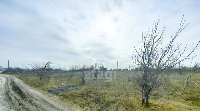 снт Моряк СОТ, ул. Имени Николая Забарина, 112, Новороссийск городской округ фото