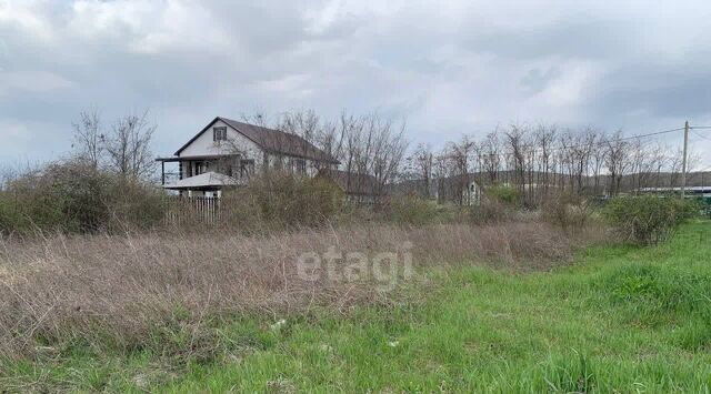 х Семигорский пр-д Мускатный 3 фото