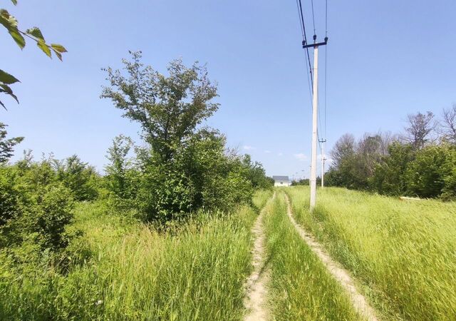 ст-ца Раевская ул Западная фото