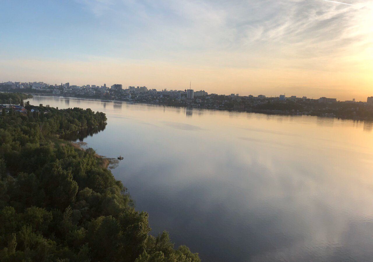 квартира г Воронеж р-н Железнодорожный ул Переверткина 1/10 ЖК «Дельфин» фото 15