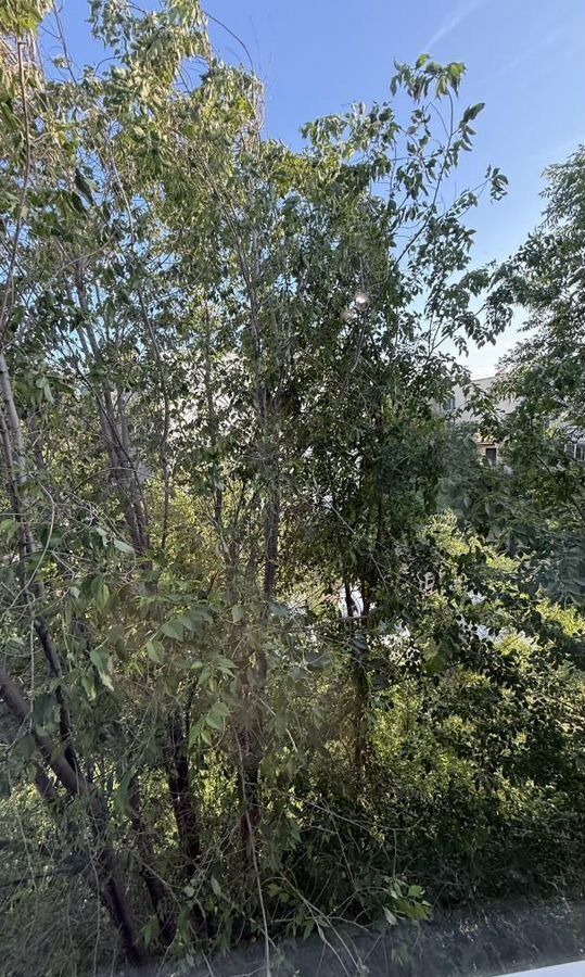 квартира г Саратов р-н Волжский ул Самойловская 57 фото 12