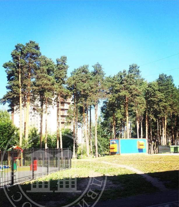 квартира г Новосибирск р-н Заельцовский Заельцовская ул Залесского 8/1 жилой дом «Залесский» фото 18