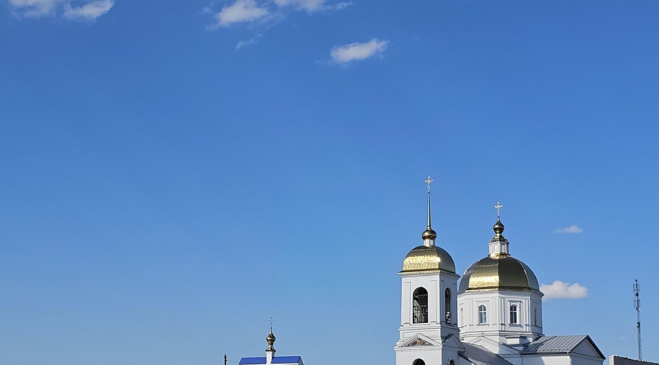 дом г Воронеж р-н Советский Малышево ул. Лесная фото 29