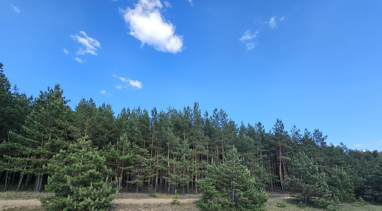 дом г Воронеж р-н Советский Малышево ул. Лесная фото 31
