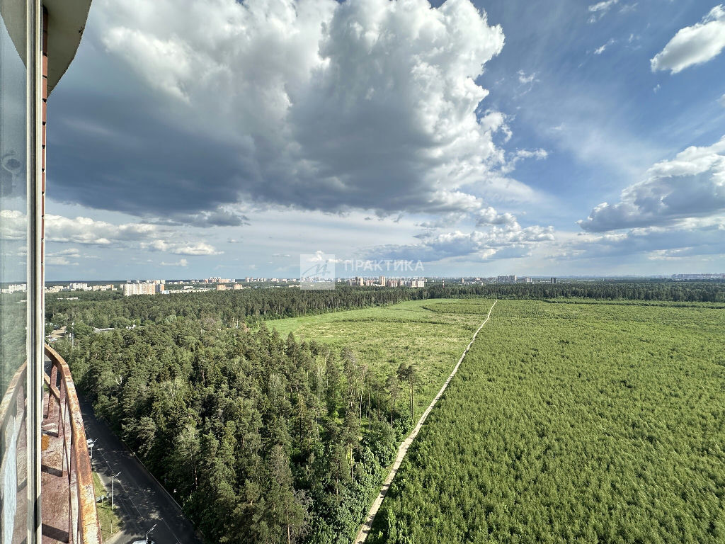 квартира г Балашиха ш Балашихинское 10 фото 26