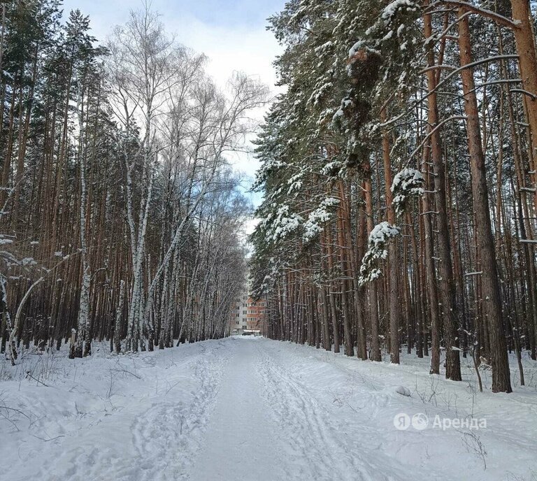 квартира г Воронеж р-н Железнодорожный ул Минская 67/1 фото 16