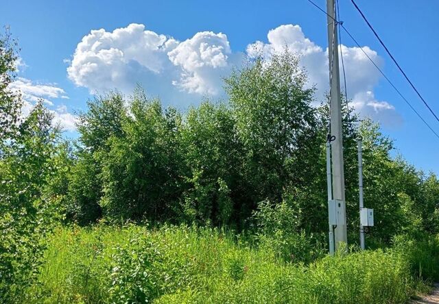 ш Дмитровское 41 км, 46Н-01036, Яхрома фото