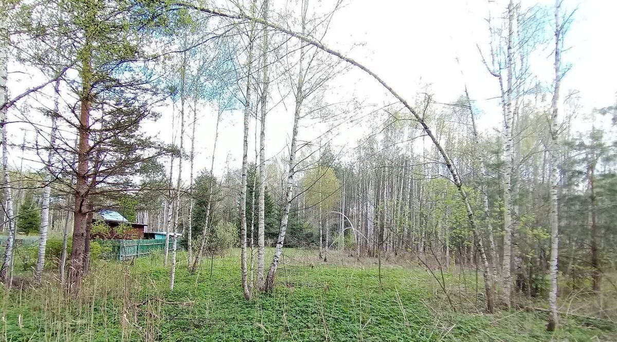 земля г Щёлково снт Знамя 227, Клин городской округ фото 3