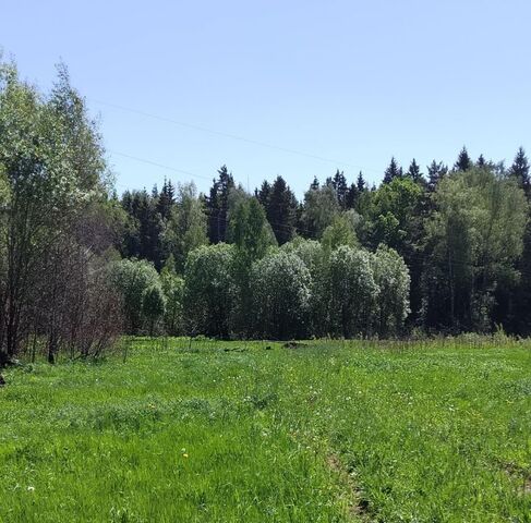 Победа, Нара СТ фото