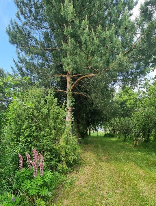 дом г Коломна ул Дачная с. Горки фото 17