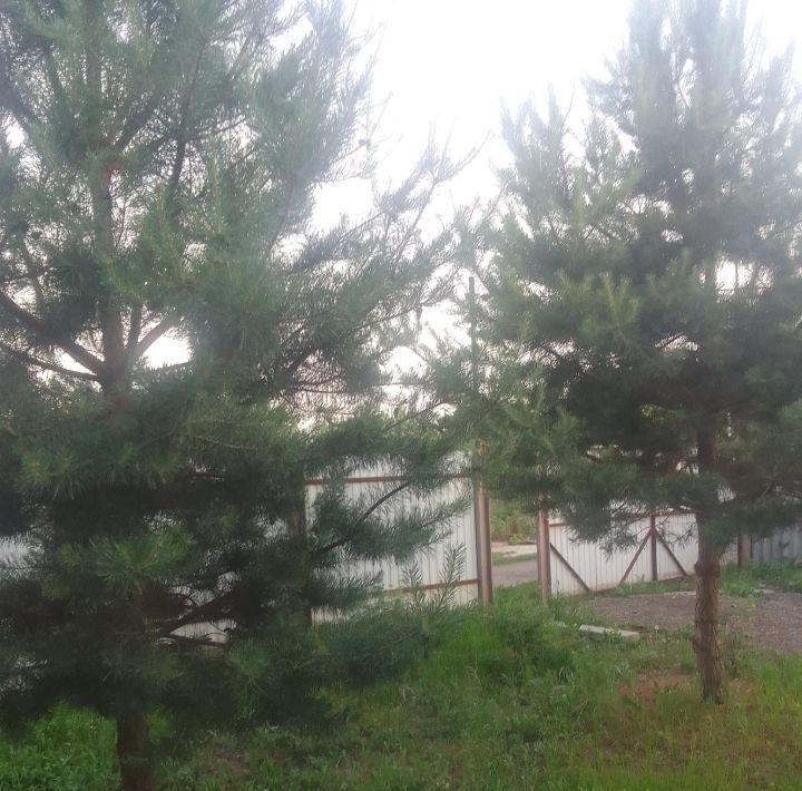 дом г Оренбург р-н Промышленный Река Сакмара СНТ, ул. Дубовая, 6 фото 16