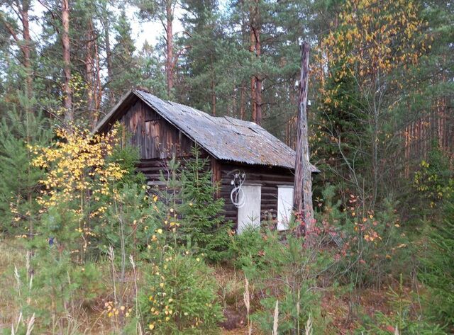 ул Лесхозная 23в Переславль-Залесский муниципальный округ фото