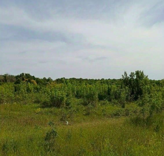 земля г Новороссийск ст-ца Натухаевская ул Заповедная 4 фото 7