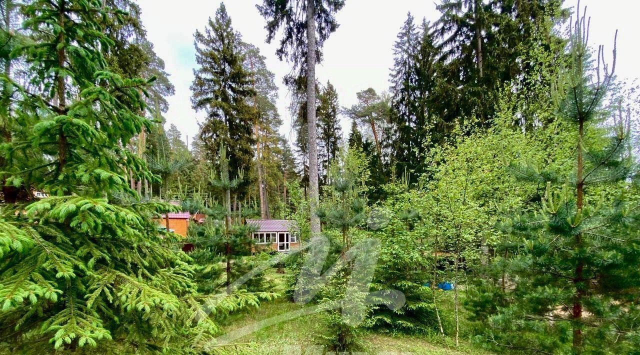 земля г Щёлково ДСК Слава-1 тер., 61 фото 11