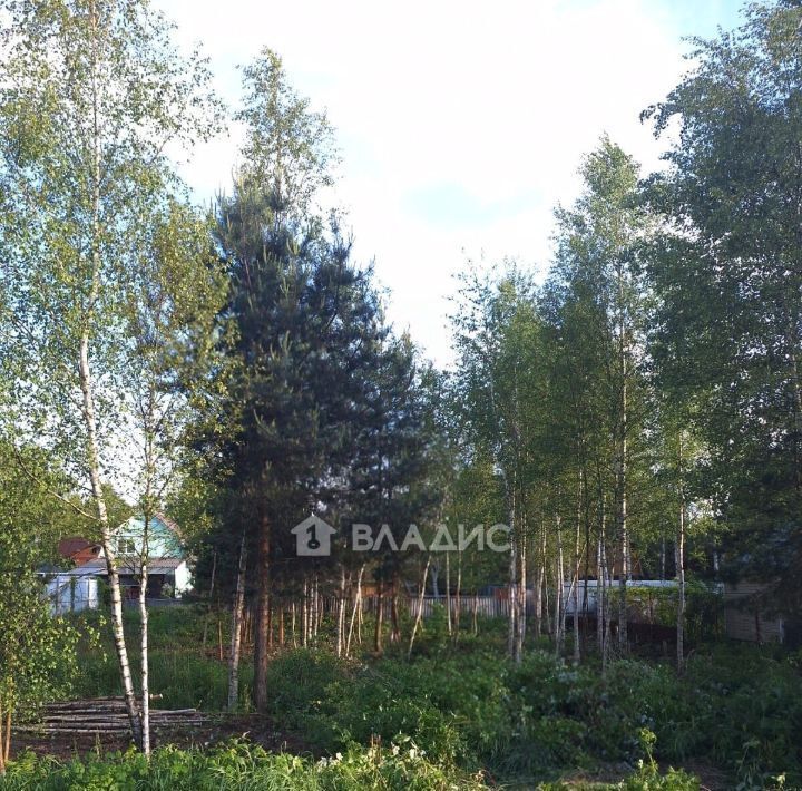 земля городской округ Богородский г Ногинск снт Электрон 98 фото 8