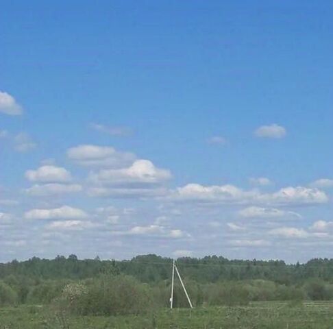 Трегубовское с/пос фото