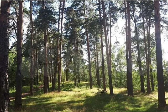 сельское поселение Пушной, населённый пункт Мокрая Кица, Лесная ул фото