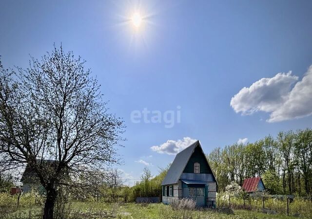 снт тер.Чистые пруды Тамбов фото