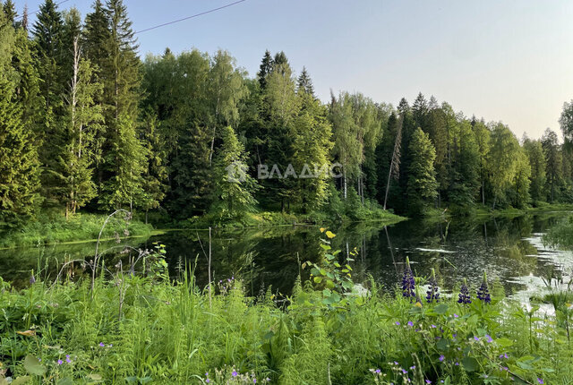 снт Родник фото