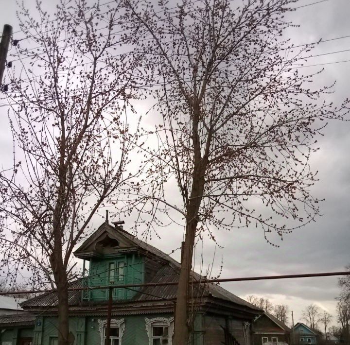 дом р-н Чкаловский г Чкаловск ул Корякова 3 фото 1