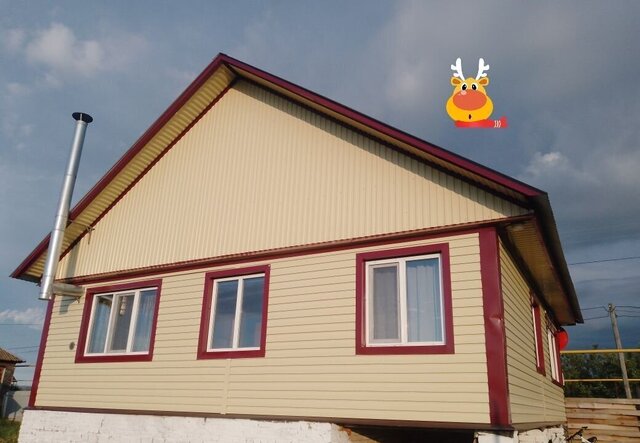 ул Мира 134 Новоянзигитовский сельсовет, Респ Татарстан, Актаныш фото