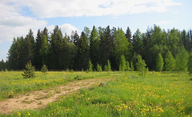 ул Лазурная 82 Новоалександровск фото