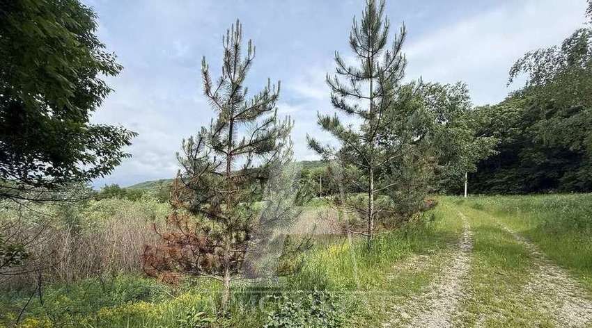 земля г Пятигорск п Горячеводский ул 3-я Линия 271 фото 1