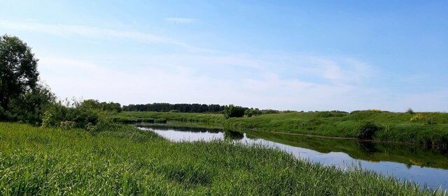 муниципальное образование Селецкое, 172, Суздаль фото