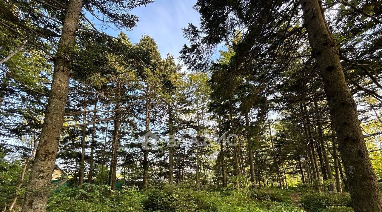 земля г Южно-Сахалинск с Елочки ДНТ, Корсаковский городской округ фото 9