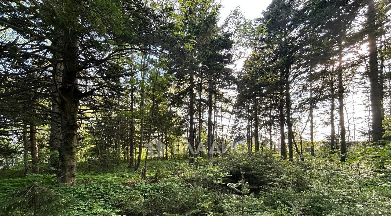 земля г Южно-Сахалинск с Елочки ДНТ, Корсаковский городской округ фото 10